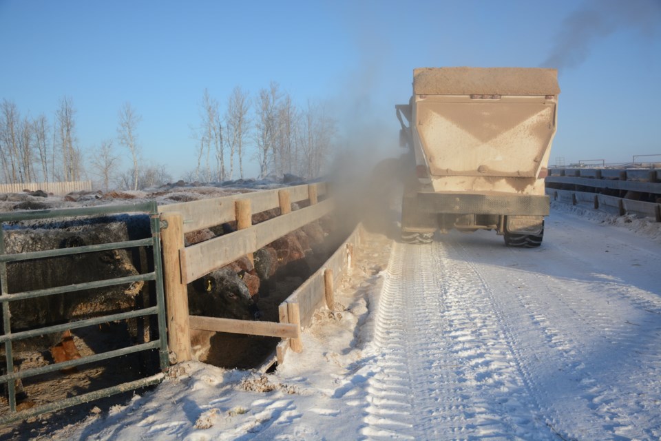 BvilleNouvelle's tweet image. Cold weather can make semen evaluating frustrating dlvr.it/SkX6x1 #SpecialFeature #BreedersDirectory #GreatWestMedia