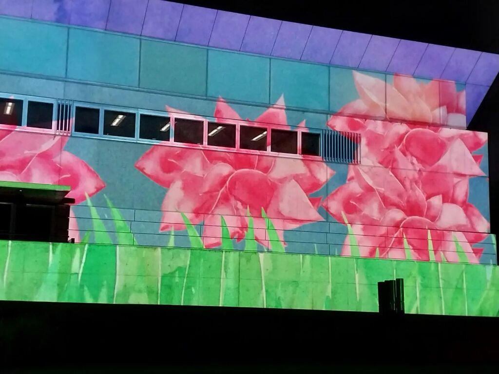 KateBunker10's tweet photo. @portraitau 
#enlighten 
#EnlightenCanberra
#NgunnawalCountry https://t.co/NuLJd0pNtv https://t.co/QTQy9ztqQQ