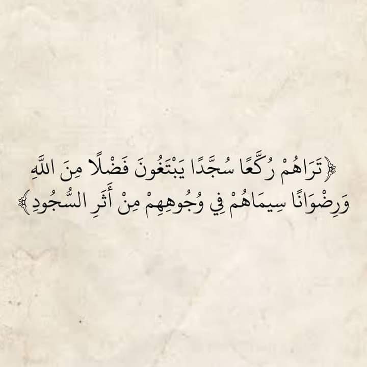 المُصْحَف. (@mo_0045) on Twitter photo 