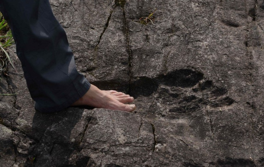 RMSOBigfoot's tweet photo. Photographers found several larger than human Bigfoot shaped foot prints
https://t.co/WHTFIOk0aF https://t.co/y3dlVIs3L9