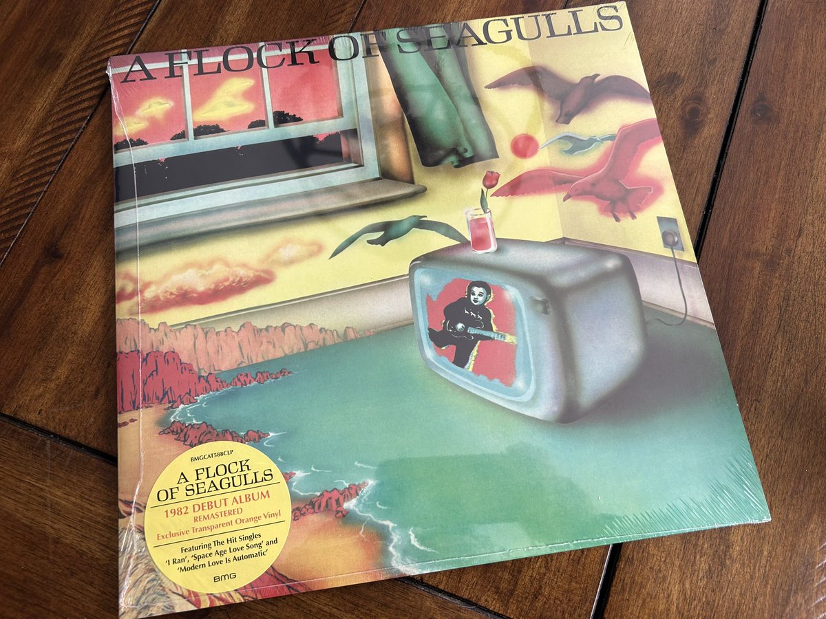 The #vinylcollection grows. #aflockofseagulls 1982 album — #aspaceagelovestory is on my #writing playlist for the #ya #spaceopera which I #amquerying now. 

#writingcommunity #vinylrecords #vinyl #writer #writerslife #recordcollection #recordstore #80smusic