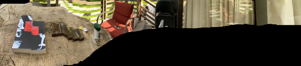 NakamotoMacNELL's tweet image. This is not my beautiful wife. #bowie this is not my beautiful #house. #mcnell #goodnightandgooeluck #januarysixthisover #impersonizationofgovernmentistreason #green