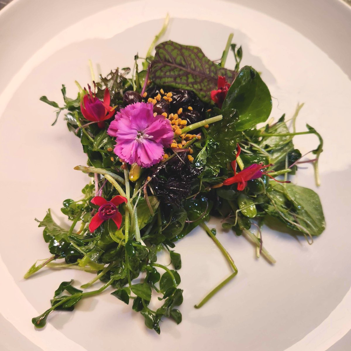 dine_epic's tweet photo. THANK YOU! 💜 Amazing food and great drinks celebrating local female entrepreneurs, farmers and food suppliers. And $270 raised towards @WINHouseShelter!

Thank you Chef Holly Holt (from SheCooks) for the great evening.

#yegevents #yegdinner #yegfundraiser #yegdt #yegchef https://t.co/gFrpvc8mmD