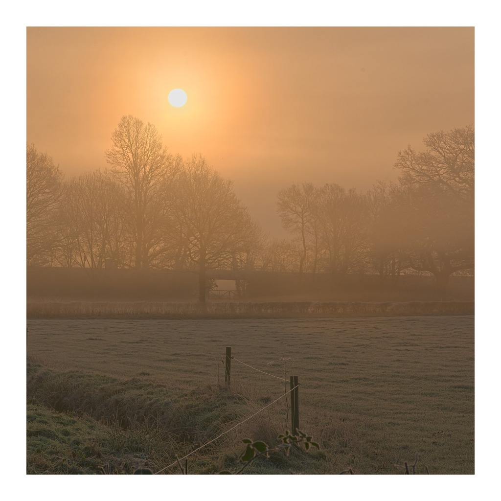 cunabula's tweet photo. Not golden hour but golden nonetheless.
______
#today #todayis #diary #calendar #photooftheday #lockdownproject
#nature #naturephotography #landscape #landscapephotography #mist #fog #goldenhour #goldenhourphotography #railwaybridge #field #trees #surr… https://t.co/s7dUx9REgd https://t.co/LjznNzRXsr