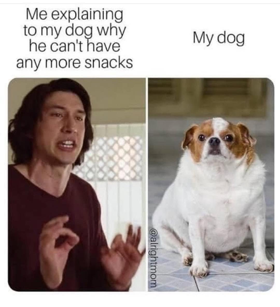 SGT61 (@sgthares) on Twitter photo 