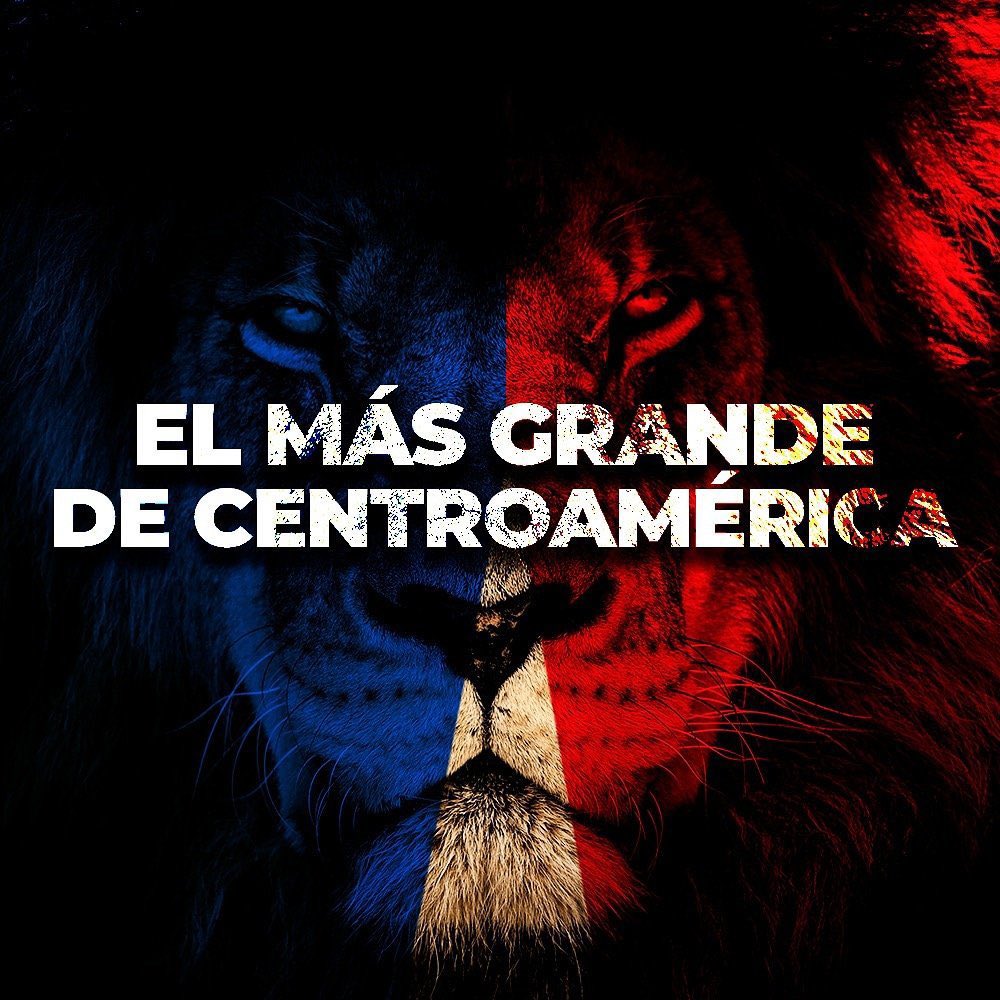 axelburgos89's tweet photo. Mañana cueste lo que cueste viejo león. 🦁🙏🏼 https://t.co/YdZ9XyTw8e