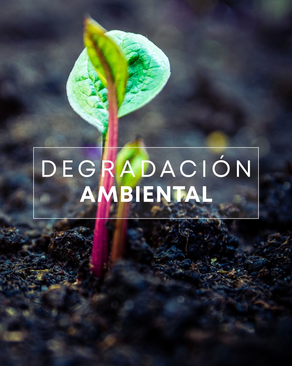 ERN_Riesgos's tweet photo. Con nuestro #diccionarioERN te compartimos términos específicos para tener una mayor comprensión sobre ellos. El término de este mes: "Degradación Ambiental:". 🧐 ¿Lo conocías?  #ERN #diccionarioERN #prevencion #naturaleza #ingenieria #ingenieriamexicana #riesgosnaturales https://t.co/k7ZWIQ6TxH