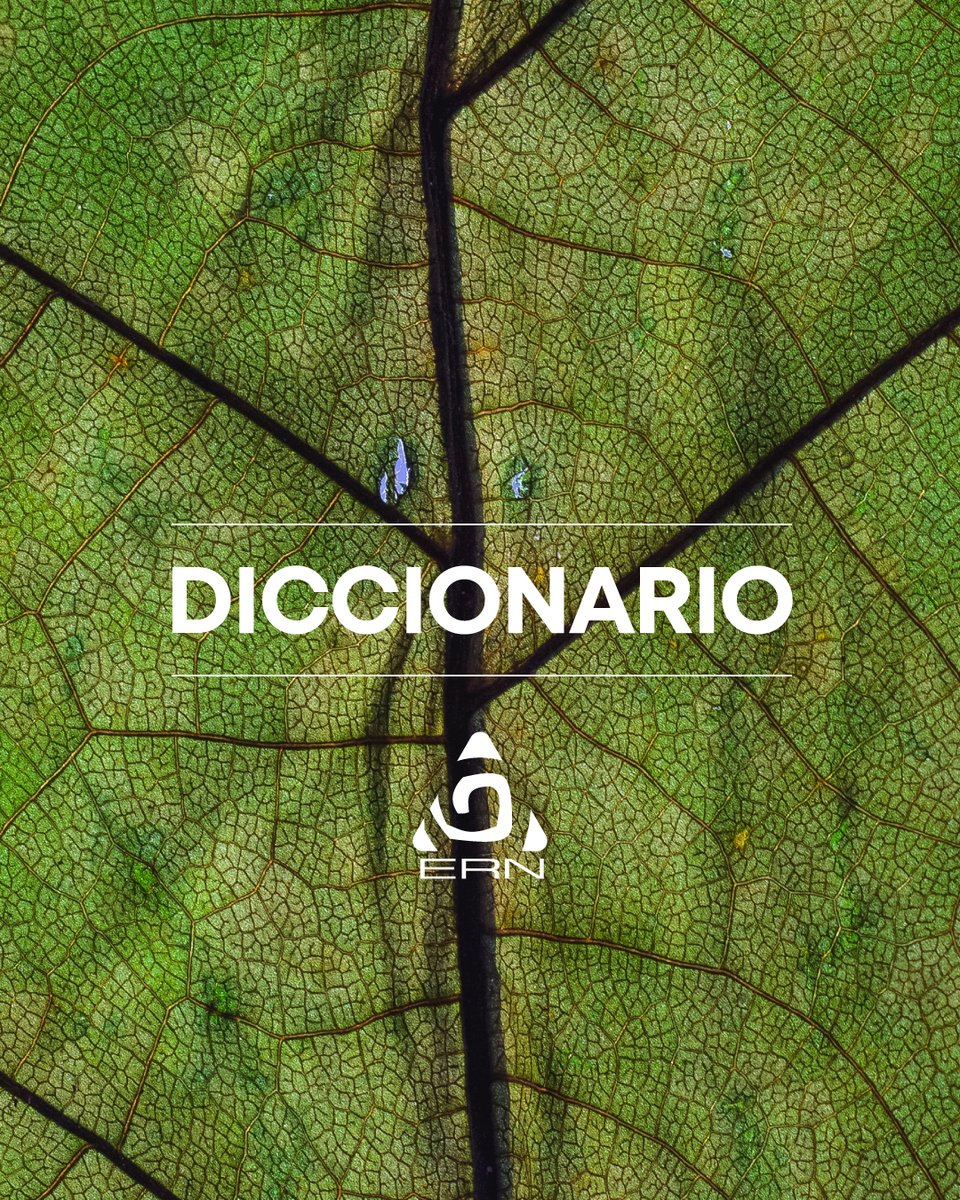 ERN_Riesgos's tweet photo. Con nuestro #diccionarioERN te compartimos términos específicos para tener una mayor comprensión sobre ellos. El término de este mes: "Degradación Ambiental:". 🧐 ¿Lo conocías?  #ERN #diccionarioERN #prevencion #naturaleza #ingenieria #ingenieriamexicana #riesgosnaturales https://t.co/k7ZWIQ6TxH