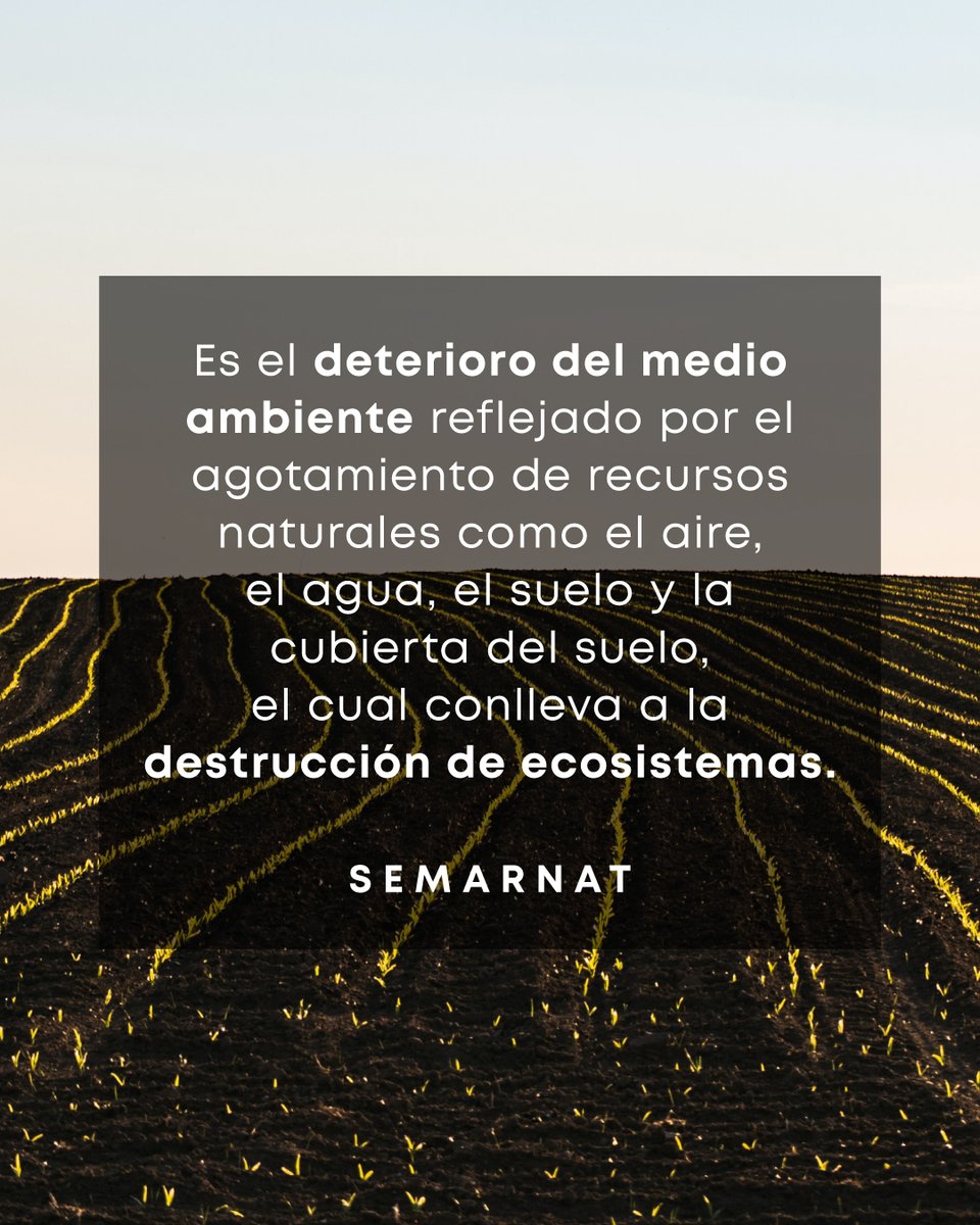 ERN_Riesgos's tweet photo. Con nuestro #diccionarioERN te compartimos términos específicos para tener una mayor comprensión sobre ellos. El término de este mes: "Degradación Ambiental:". 🧐 ¿Lo conocías?  #ERN #diccionarioERN #prevencion #naturaleza #ingenieria #ingenieriamexicana #riesgosnaturales https://t.co/k7ZWIQ6TxH