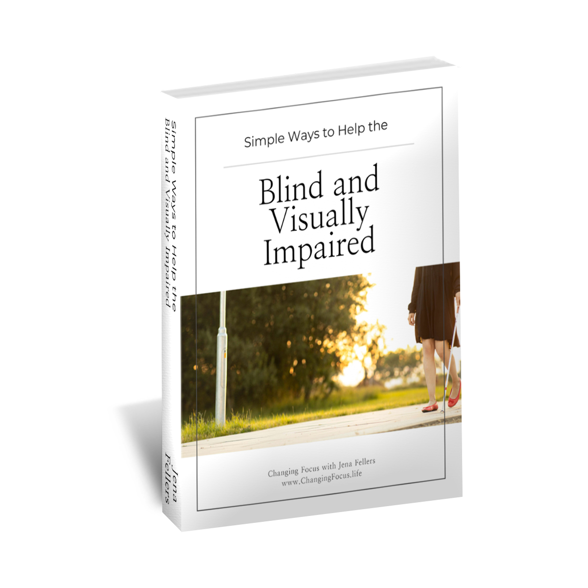 Check out my eBook on some Simple Ways to Help the Blind or Visually Impaired, get your copy here:

changingfocus.life/product/simple…