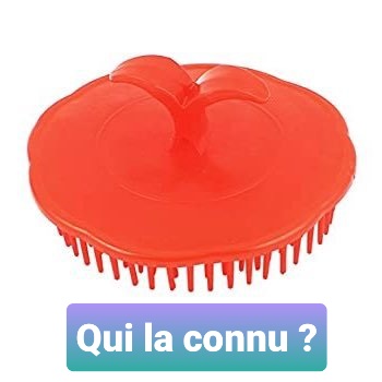 zina95_94's tweet photo. #brosse ou #mechta 🤔😂 https://t.co/eKhMFPozyn