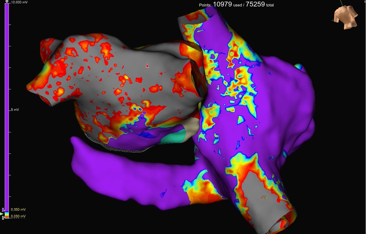 EP Orlando tweet media