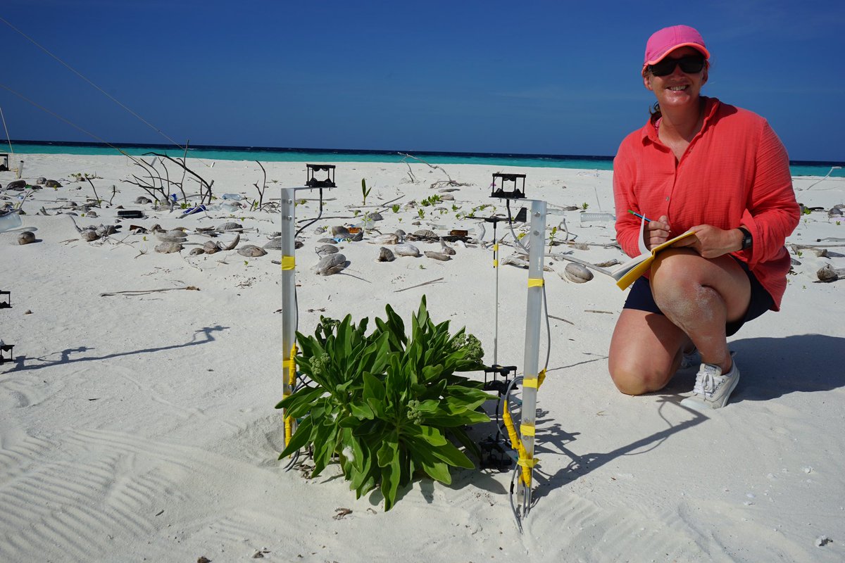 GeographyOtago's tweet photo. NEW STAFF MEMBER
A very warm welcome to @tkonlechner - Dr Teresa Konlechner joins us after extensive academic experience in Australia, the Pacific, the Maldives &amp; Aotearoa NZ.  Her research interests lie at the interface of ecology &amp; physical geography. Nau mai, haere mai 😃 https://t.co/P5WJF1ZZS5