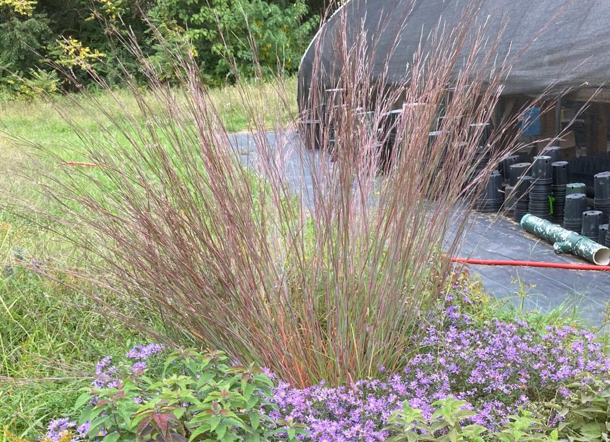 LandHealth Institute tweet media