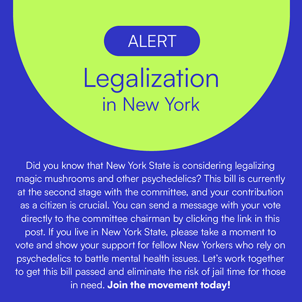 reconsiderorg's tweet photo. Take action, click below, send a message directly to the committee chairman and show your support! 

https://t.co/IAE76ECpBy

#legalizepsychedelics #mentalhealthawareness #mentalhealth #newyorkstate #psychedelics #psychedelic #transformationalmedicine #reconsider #reconsiderorg https://t.co/CY3GvzGDpV