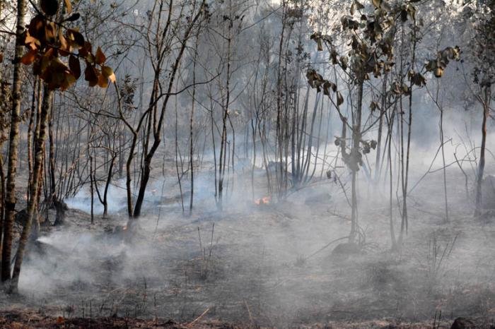 Disminuye la intensidad del incendio🔥 en Pinares de Mayarí.
En la tarde de ayer varios medios dieron a conocer que el incendio que ha cobrado más de 5300 hectáreas comienza a ceder.