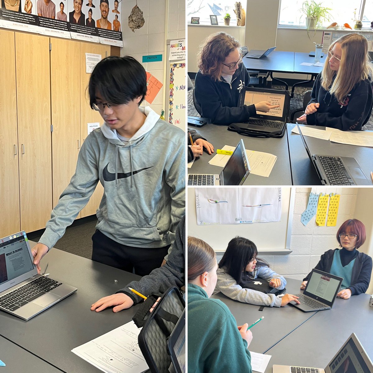 Students are participating in peer review to improve their Blood Drive projects.