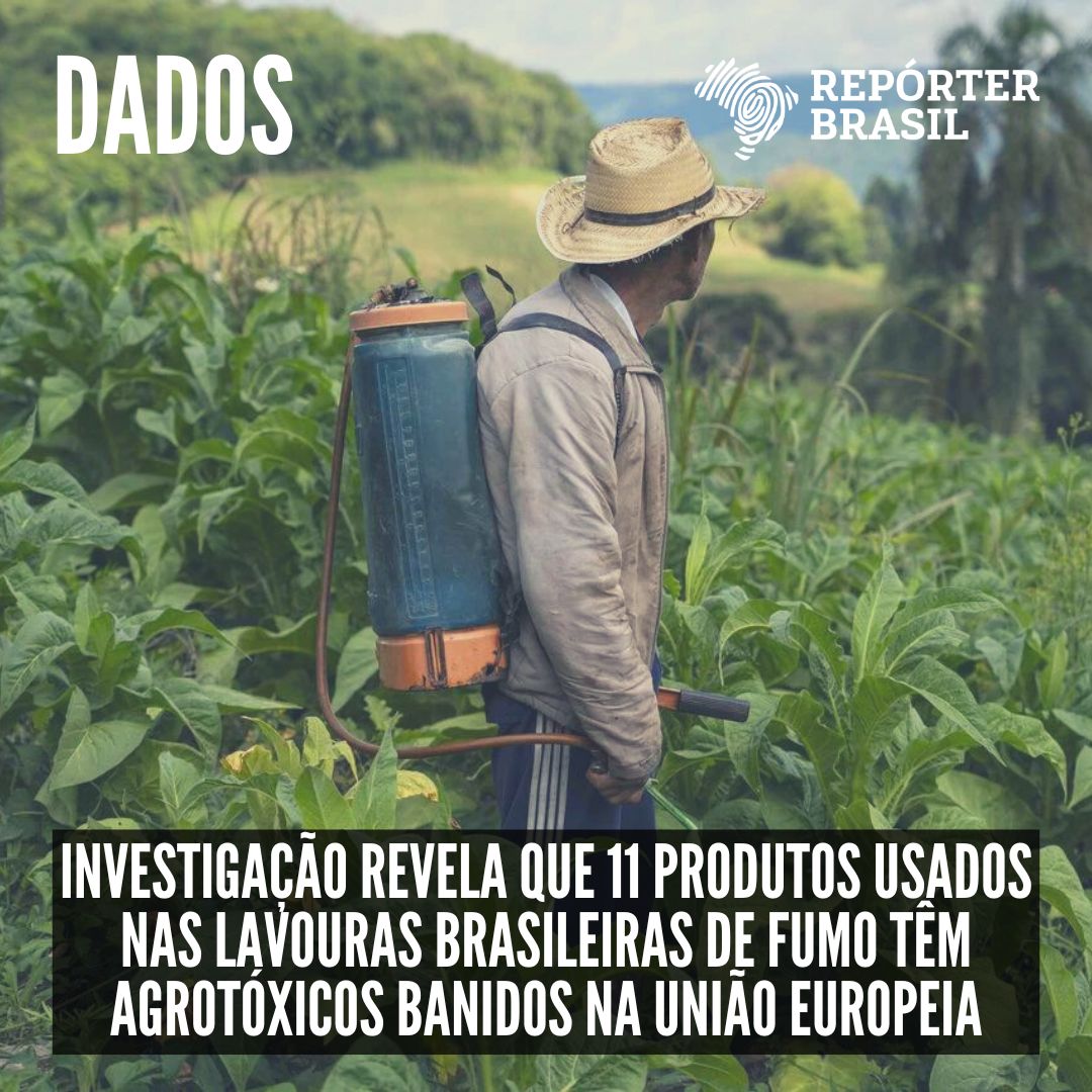 Uma investigação em conjunto da Repórter Brasil e o veículo investigativo  <a href="/DanWatchDK/">Danwatch</a> revelou que 11 produtos usados nas lavouras brasileiras de fumo são feitos à base de substâncias – ingredientes ativos – banidas na União Europeia. Leia aqui: bit.ly/AgrotoxicosBan…