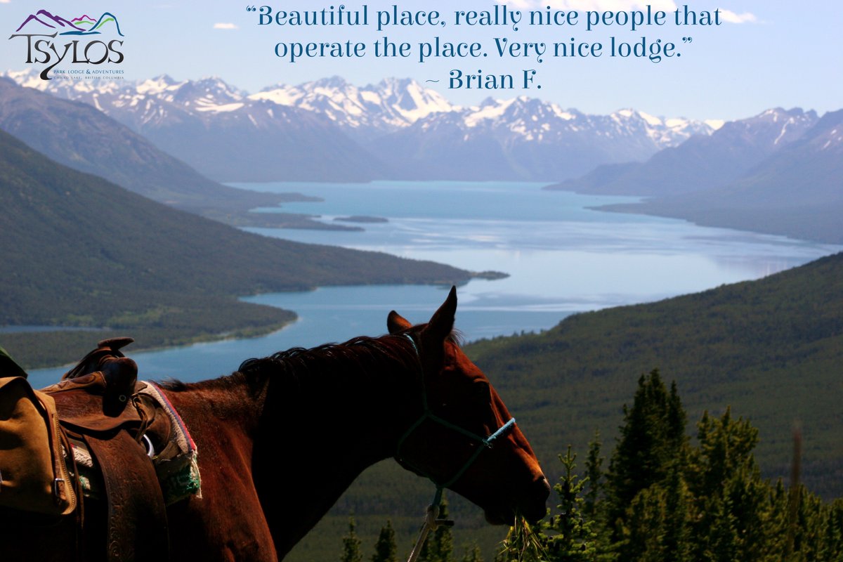 “Beautiful place, really nice people that operate the place. Very nice lodge.” ~ Brian F.

Beautiful. ✨ Nice. ☺️
Just a few of the words we love to hear. Thanks, Brian!

#DisconnectToReconnect
📸 🎣 🐎
#TestimonialTuesday
#flyfishing #horsebackriding #wildlifephotography