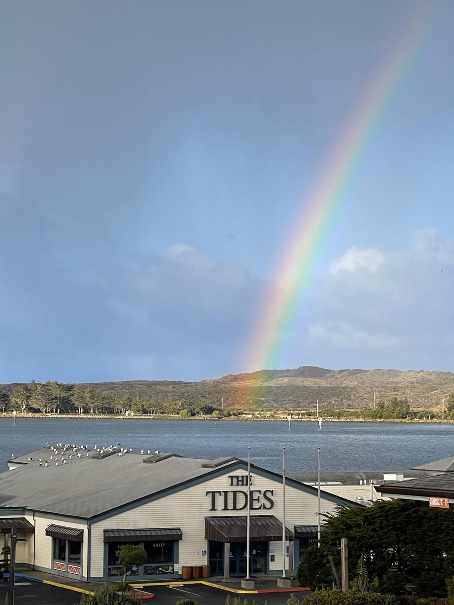 SkylerDunigan's tweet image. The Tides - Bodega Bay #TheBirds #TidesCafe #BodegaBay #California