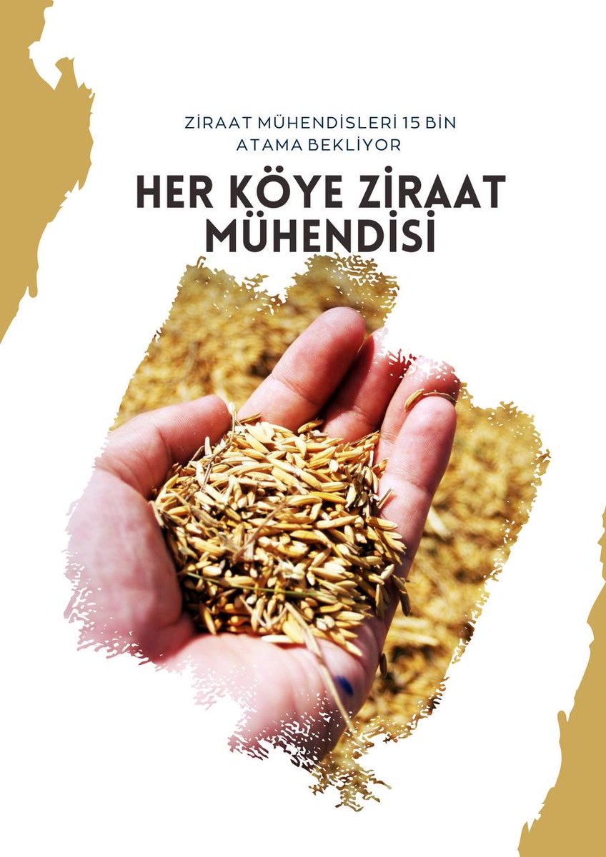 Taşı toprağı cennet vatanımın her köyüne bir ziraat mühendisi alımı istiyoruz Sayın Bakanım 
<a href="/VahitKirisci/">Prof.Dr.Vahit Kirişci</a> <a href="/NumanKurtulmus/">Numan Kurtulmuş</a> <a href="/fuatoktay/">Fuat Oktay</a> <a href="/ademdinc_/">Adem Dinç</a> <a href="/RTErdogan/">Recep Tayyip Erdoğan</a>  <a href="/hasandogan/">Hasan Doğan</a> <a href="/kilicdarogluk/">Kemal Kılıçdaroğlu</a> <a href="/meral_aksener/">Meral Akşener</a>
#CbZiraate15BinOnay