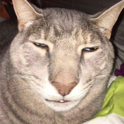Aperson_x's tweet photo. #NewProfilePic https://t.co/CsKwcGvANb