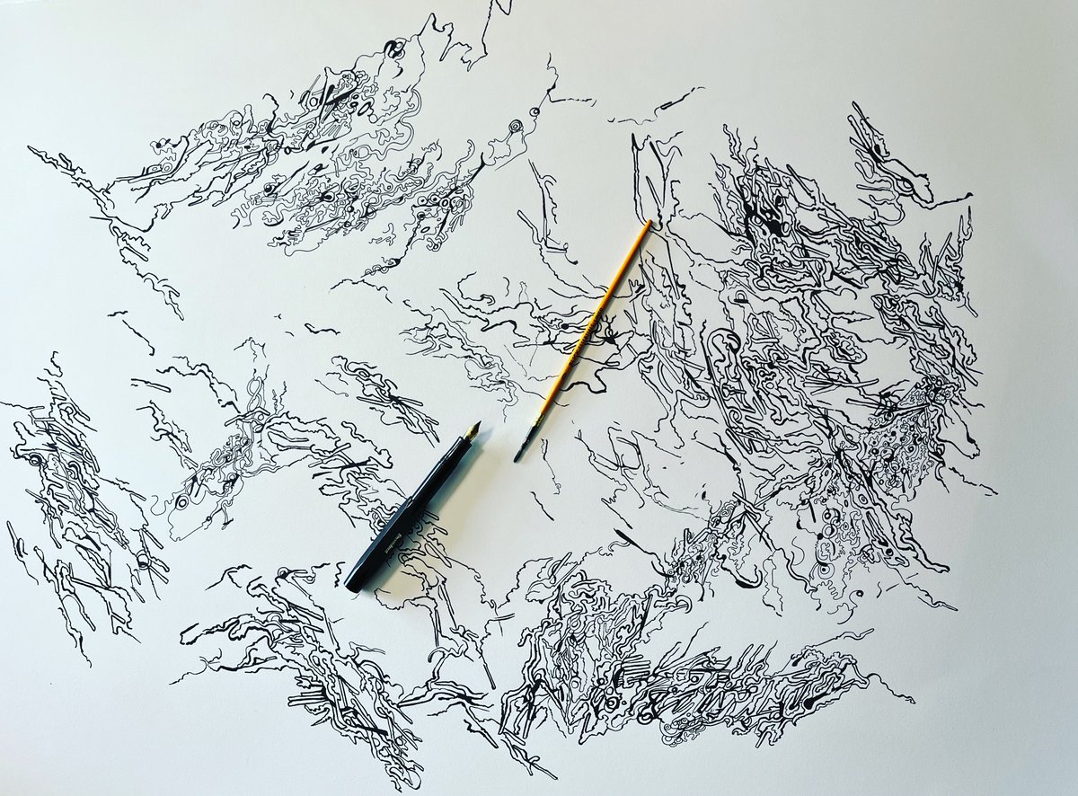JuliaLaCcat's tweet photo. Today’s Work is this large abstract line drawing. 22x30 inches Using carbon ink, a small paint brush and a kaweco sport fountain pen. #fountainpen #inkdrawing #brushdrawing #drawing #largedrawing #contemporaryart #juliaguzzio #lineart #abstractlineart #lines https://t.co/ty9XhiKToV