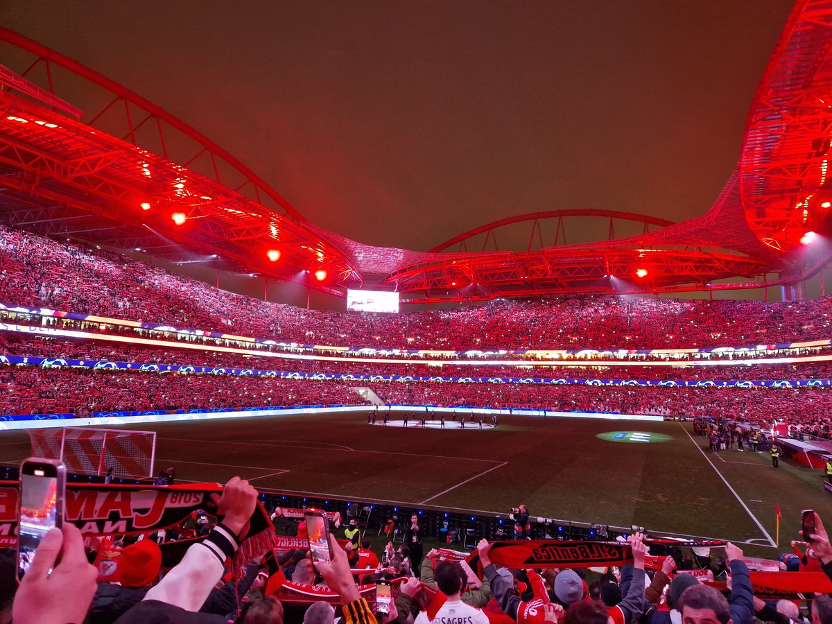 🎵 Que lindo é vermelho e branco! 🎵 🔴 ⚪ 🦅 😍