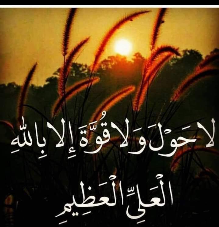 nwkld4's tweet photo. @aLDaaNa1110 https://t.co/UCteB4zVGX
