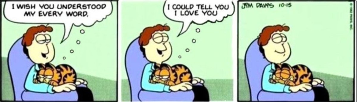 WholesomeMeme's tweet photo. https://t.co/PGVyeeF7OT