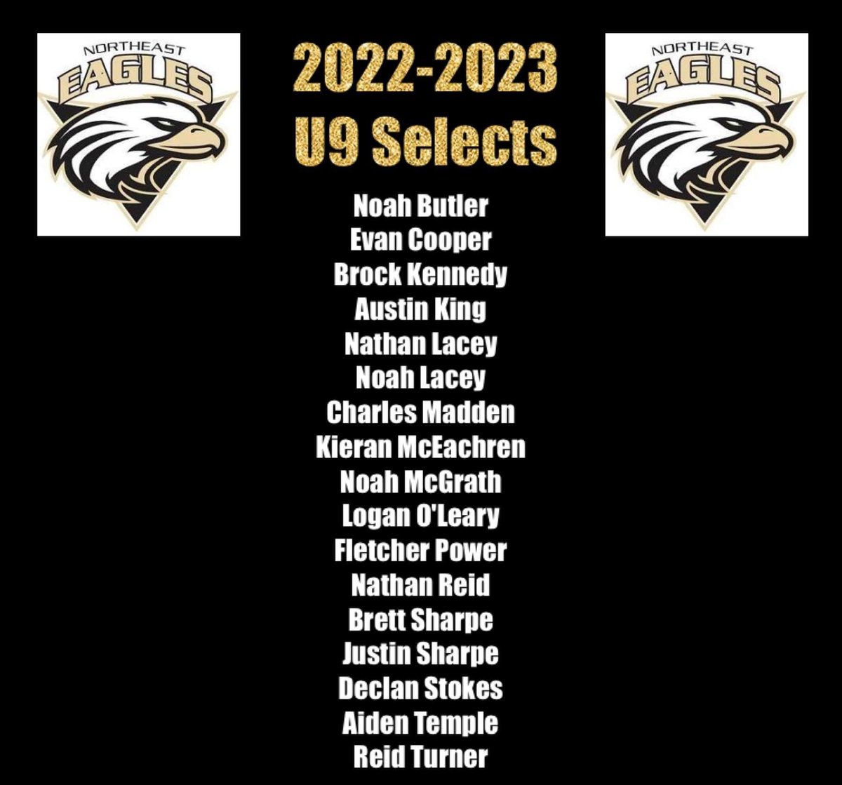 ne_eagles's tweet photo. Congrats to our U9 Selects 🦅🏒🦅 https://t.co/6Z03c9EZ40