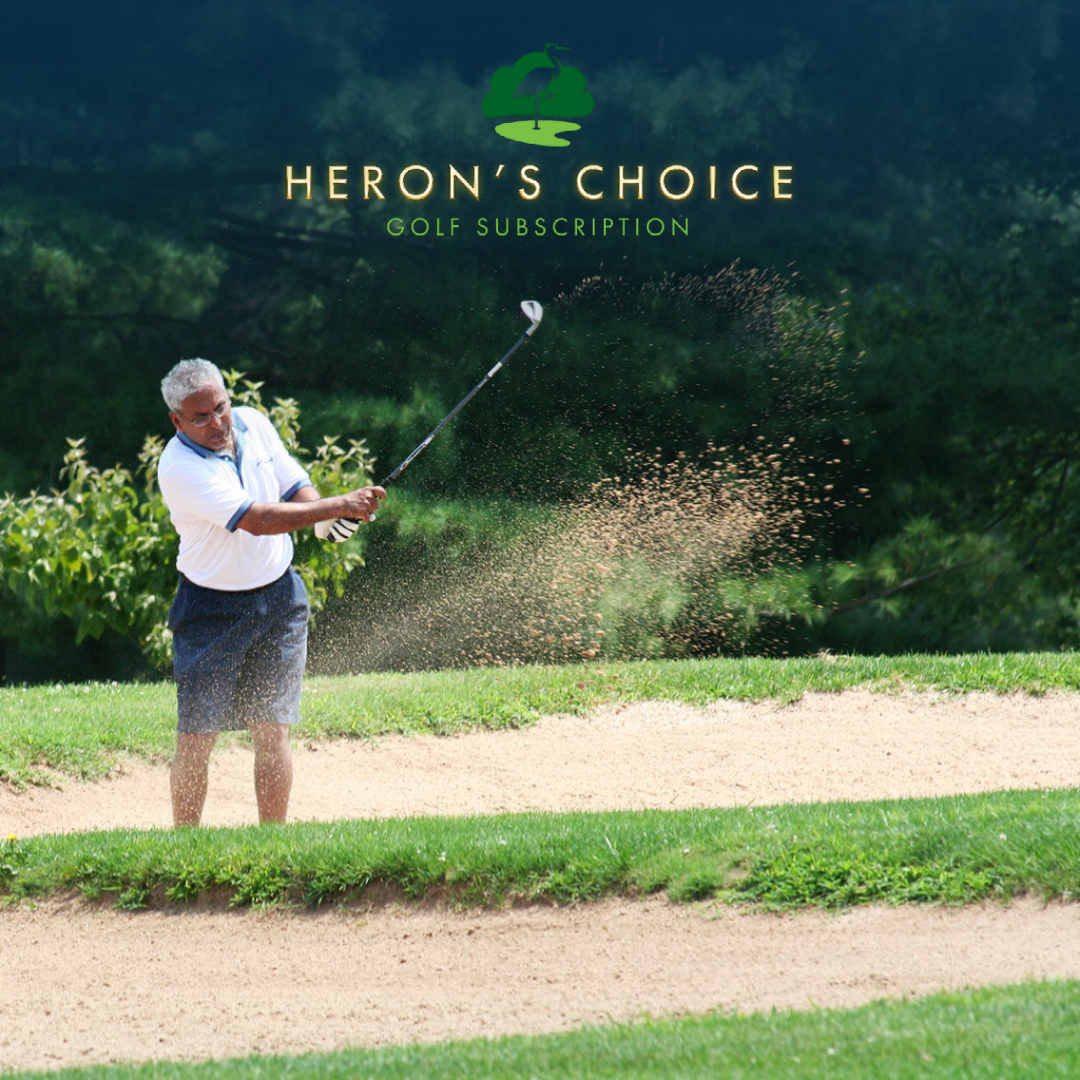 BrambletonGolf's tweet photo. Heron's Choice Golf Subscription is the perfect way to get more out of your golf game. The more you play, the more you save!

To learn more about this exciting new option, visit: https://t.co/zIRC1ec2x4

#choosemore #playmore #savemore #novaparksgolf https://t.co/UPiFzcixuh