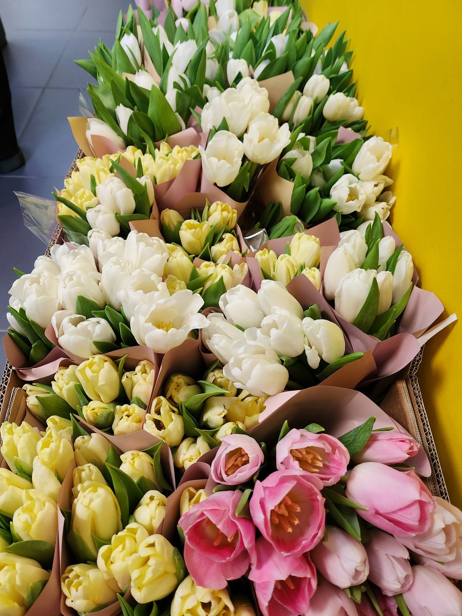 Мечта Мелмана🚣 tweet media