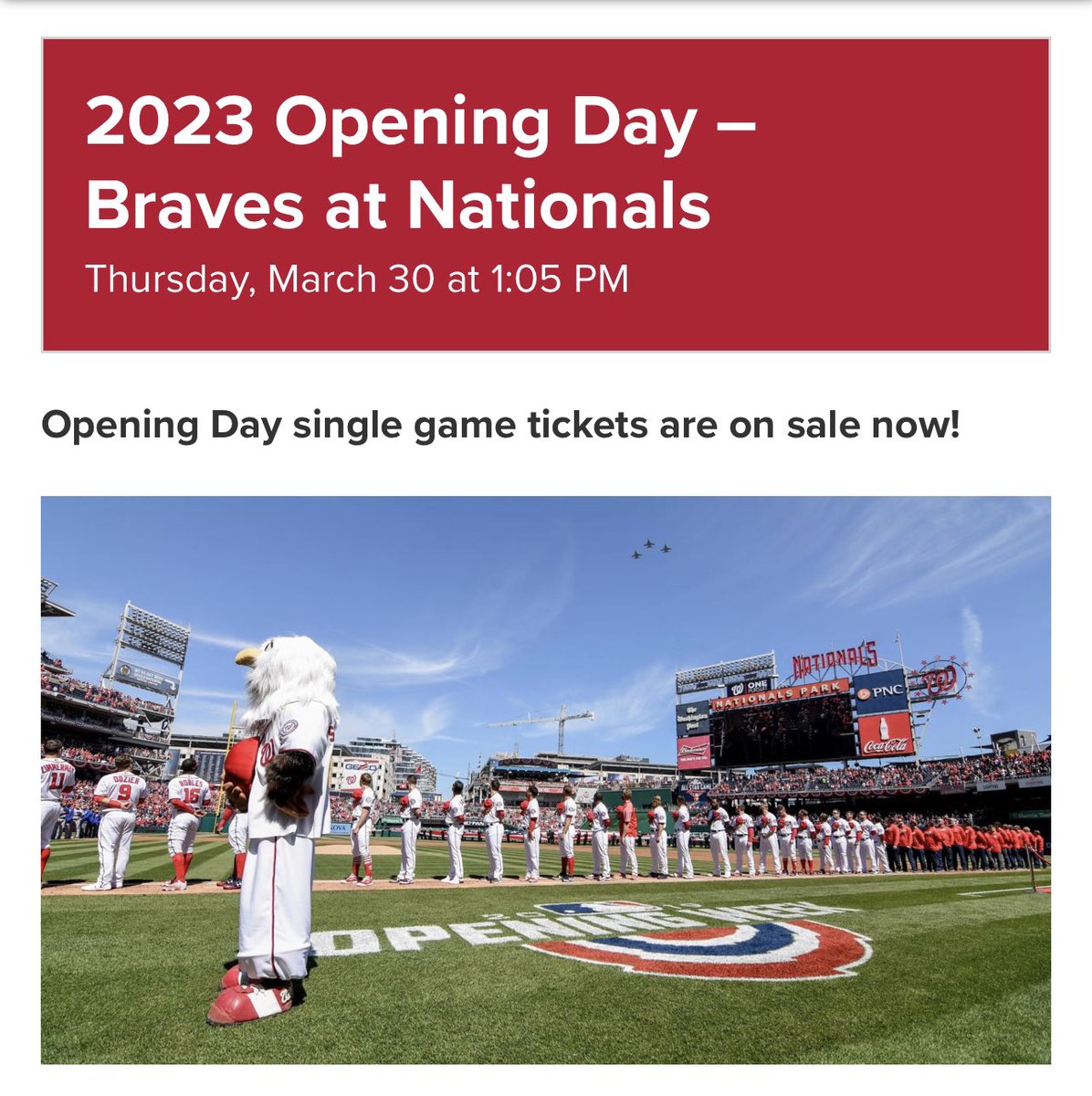 Navy Yard Nats tweet media