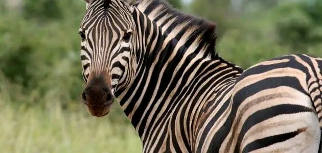 اما افتكر نفسى بخطط كويس للمستقبل .