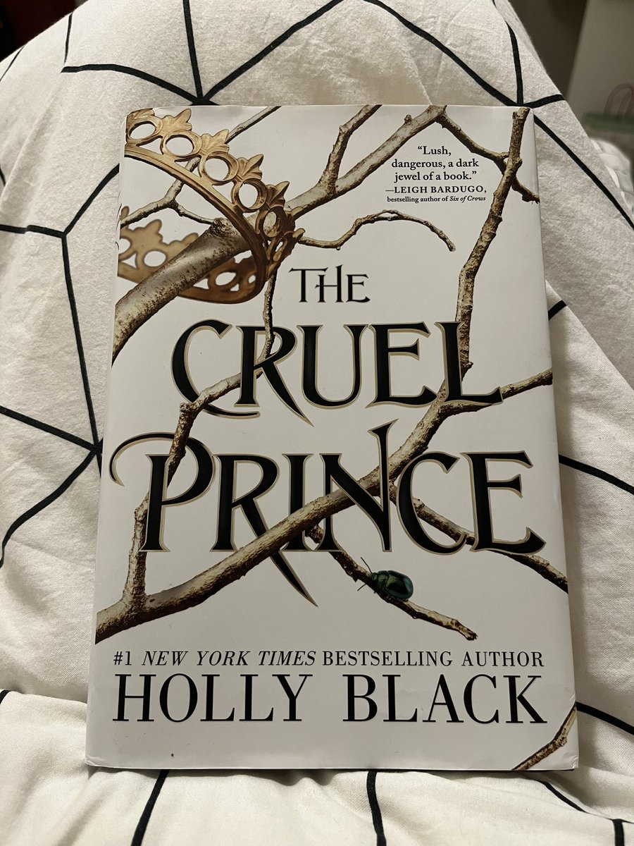 trying to finish the cruel prince because i started it in september and i keep ditching it to read something else instead <3
