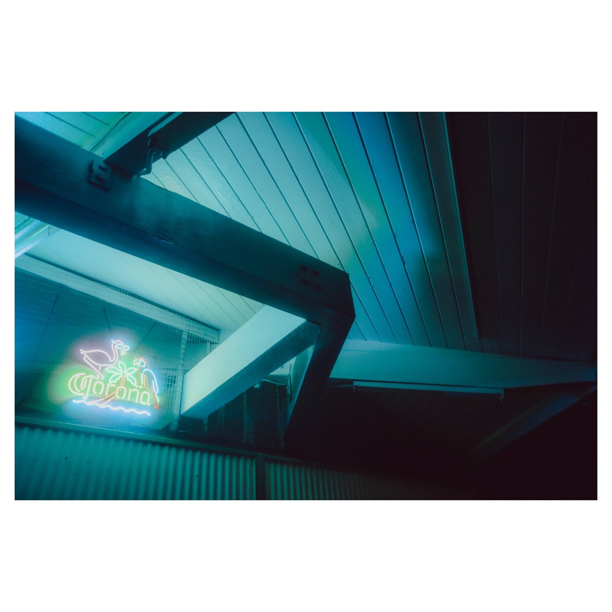 Above_Brandon's tweet photo. Chasing Neon 🌈 https://t.co/DrgyrCNJpr