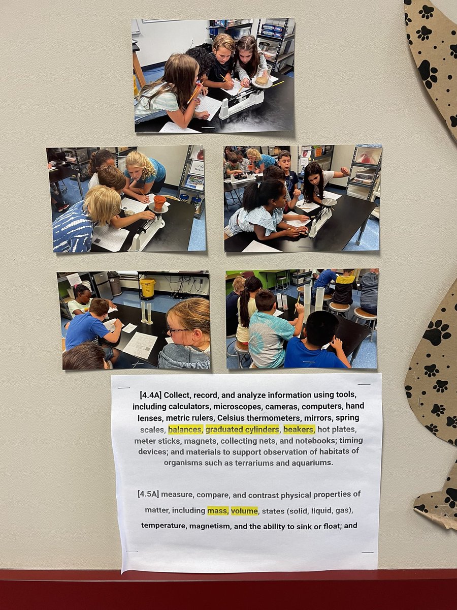 dr_ashlyspencer's tweet photo. Walking down the hallway &amp; stopped in my tracks. Instead of posting essays &amp; other “picture perfect” activities this teacher is posting photos of hands on activities in the classroom to demonstrate what the kids are learning &amp; doing every day! LOVE this so much! @BirdvilleISD https://t.co/gBstrfRxAl