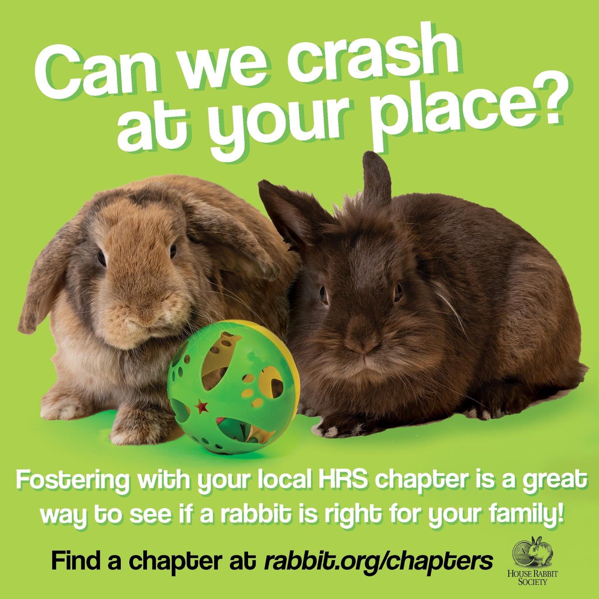 🏳️‍⚧️ 🐇TechNoirJacRabbit on Twitter "RT HouseRabbit Open your heart