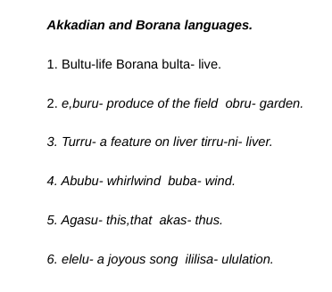mzeesiraj's tweet photo. mages:-Some #Arabic words in #Assyrian(ancient East Semitic #Akkadian language).Galla-#Borana and Galla #Somali words in #Assyrian.Galla Chief in Horn of #Africa Region(bot R).
Cushites who emigrated from #Mesopotamia via #Magan into #Punt.
@UAE_Africa,@abudhabiturath, @fbmi_uae. https://t.co/H98sTc27Cv