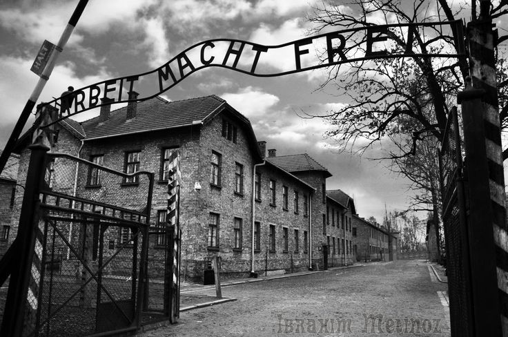 El ‘Álbum de Auschwitz’

(Un documento único sobre el horror del holocausto)

Abro hilo🧵