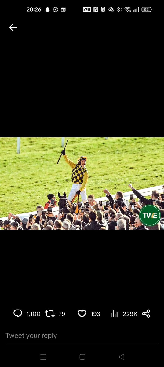 thepogo's tweet photo. @TWEnclosure 🤞🤞 https://t.co/XA65VVej27