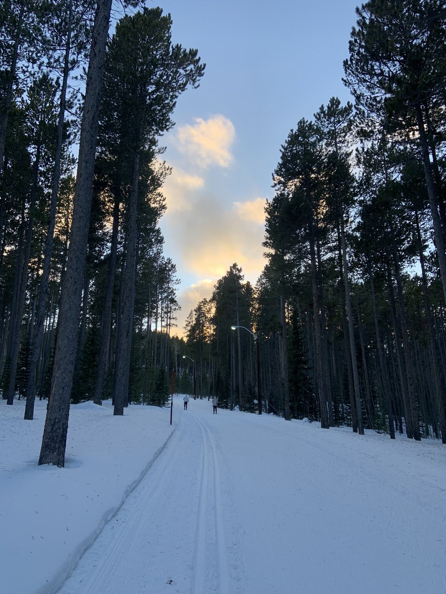SteveHarshman's tweet photo. Happy #307day I am honored to live, work and serve in Big Wonderful Wyoming. https://t.co/0FmK32egfq