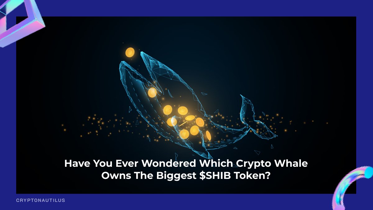 Cryptonautilus tweet media