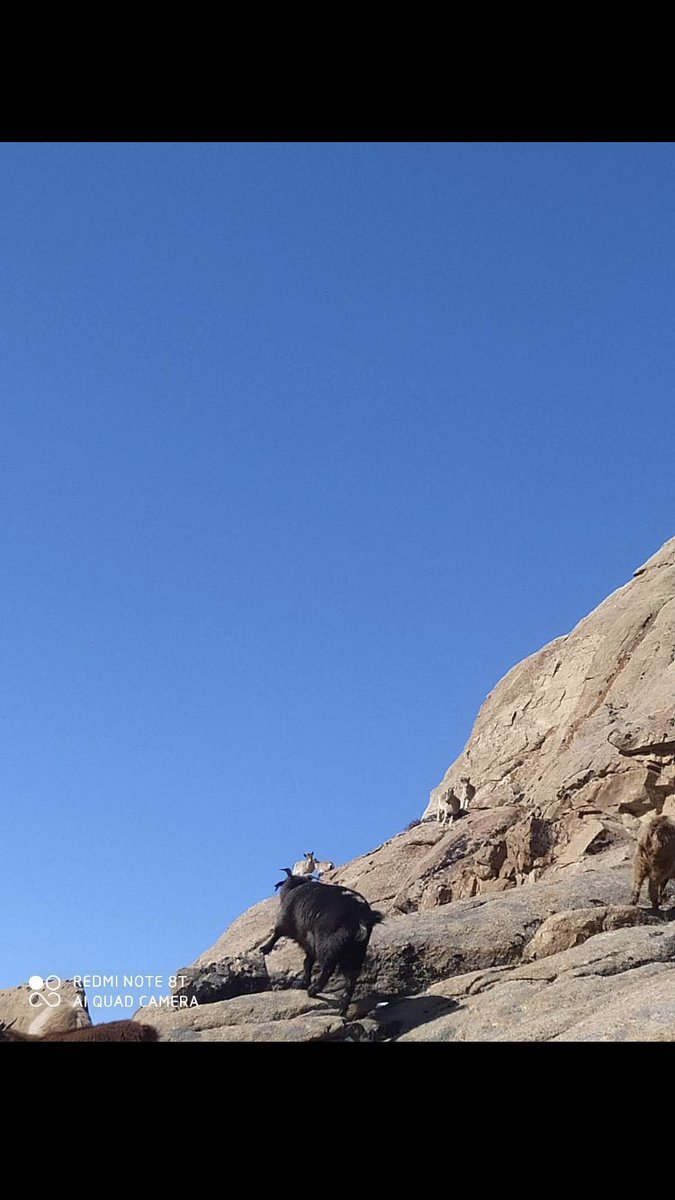 Уулан дахь уулзалт гэх үү дээ. Энэ зурагт яг оносон нэр хайрлаач