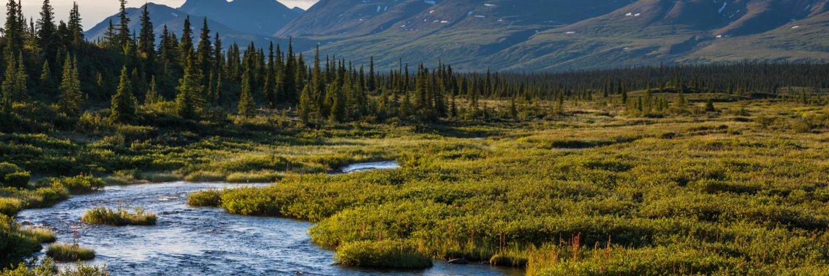 The #LaurierBiology department is hiring a contract teaching faculty (CTF) to teach BI306 – Global Biogeography &amp; Conservation Biology this Summer Session (July-August). Application deadline is March 12.
careers.wlu.ca/job/Waterloo-B…