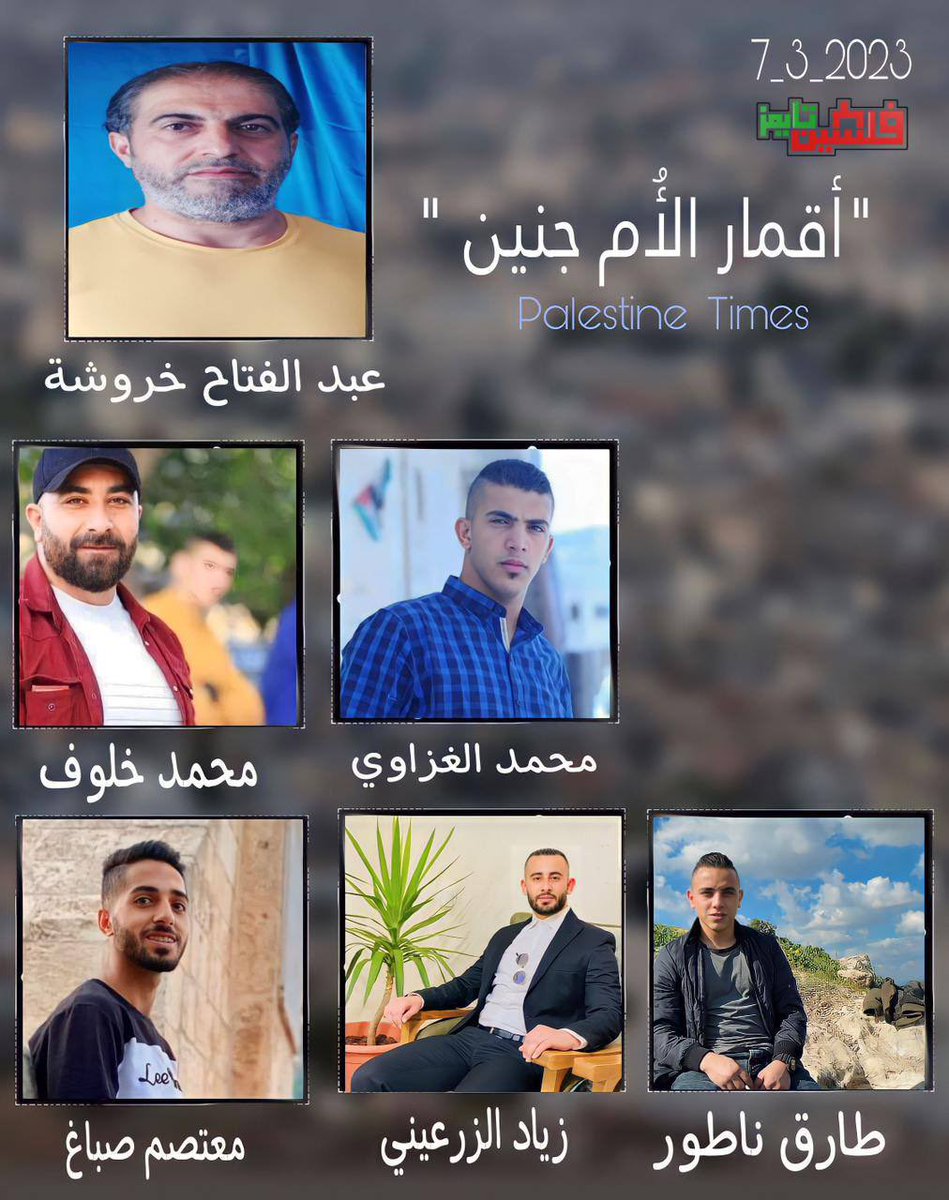 palTimes2019's tweet photo. أقمار الأُم جنين اليوم .. https://t.co/y9pMCfM1ym