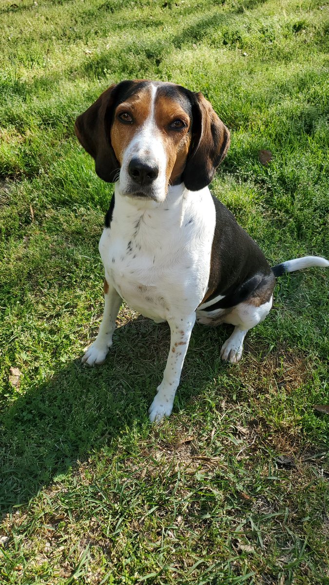 Kelli Murrell tweet media