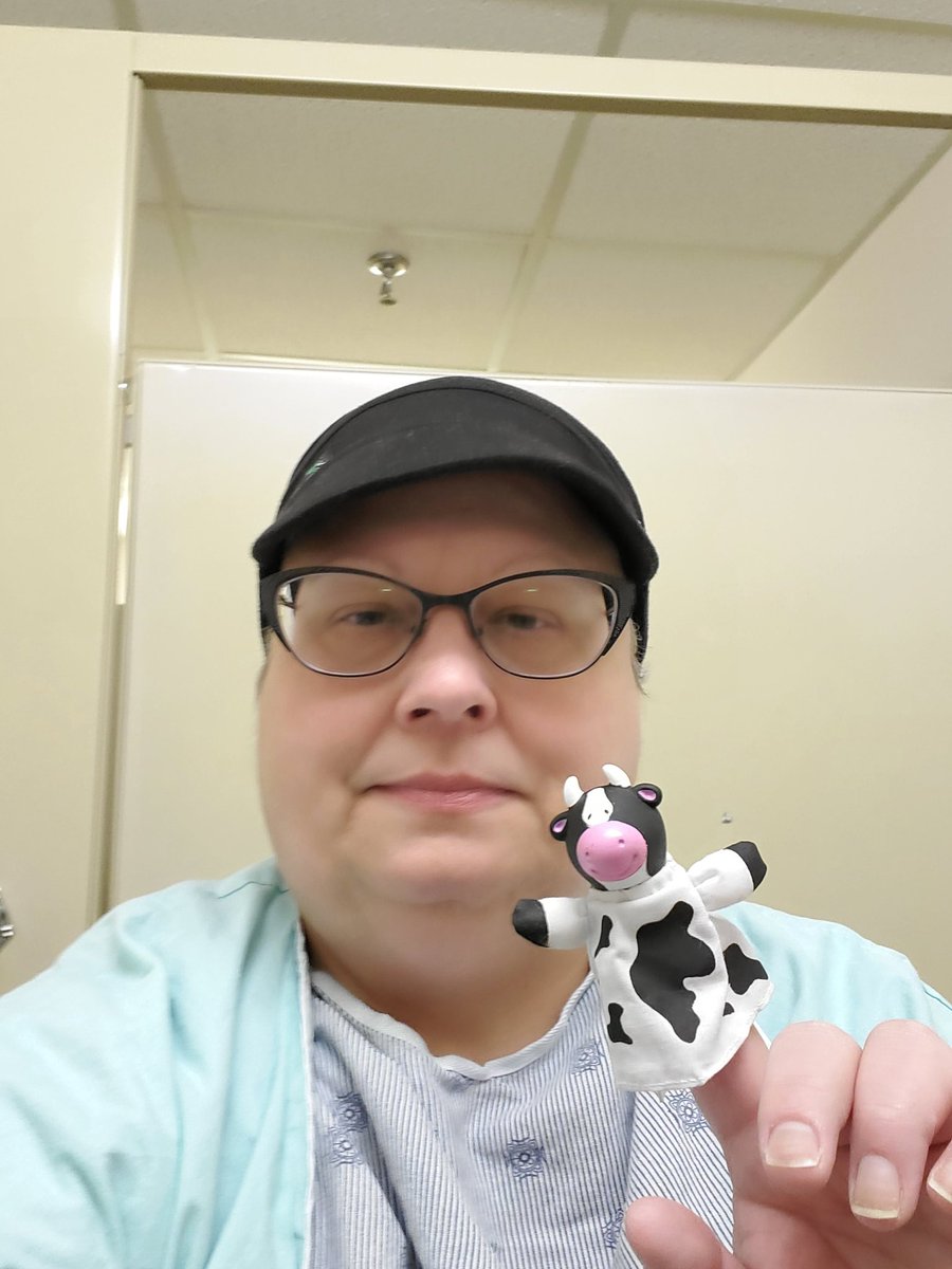 Chemoo the Chemootherapy Cow tweet media