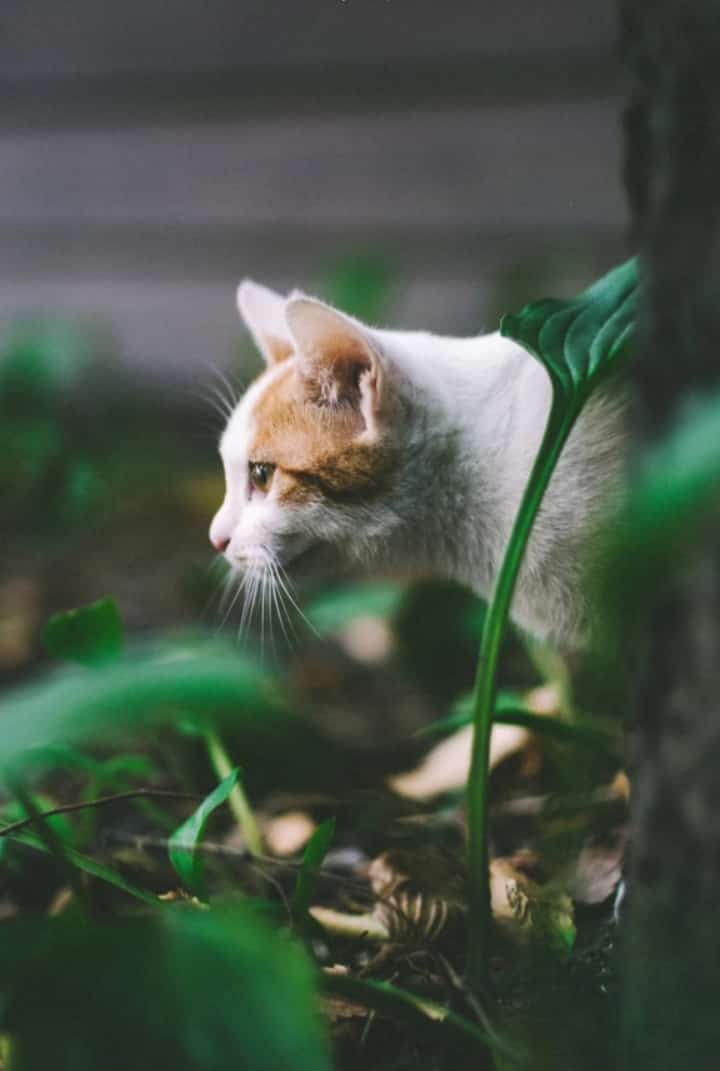 itzcoldon's tweet image. @itzcoldon